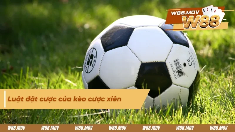 Luật đặt cược cơ bản trong cược xiên