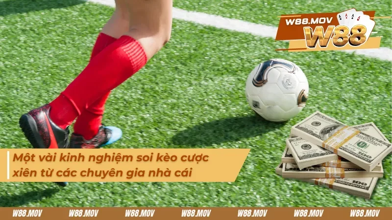 Những kinh nghiệm soi kèo hấp dẫn dành cho tân binh